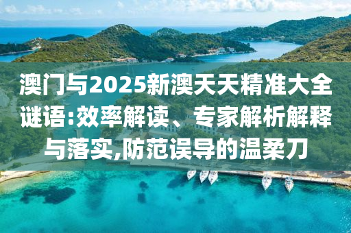 澳門與2025新澳天天精準大全謎語:效率解讀、專家解析解釋與落實,防范誤導(dǎo)的溫柔刀